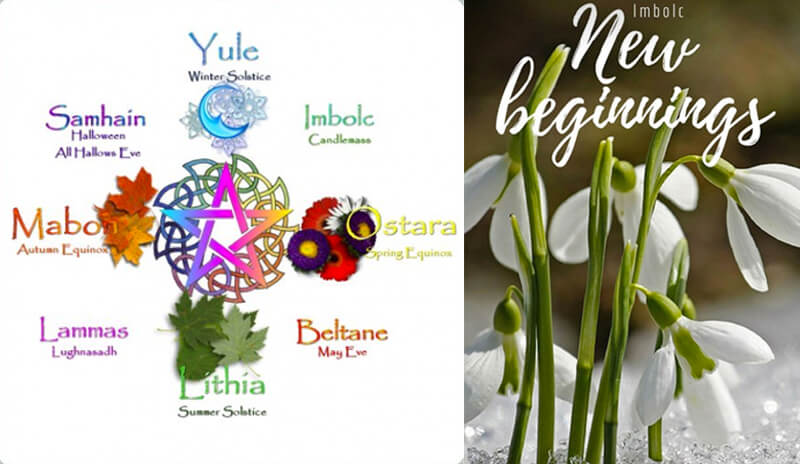 imbolc cycle