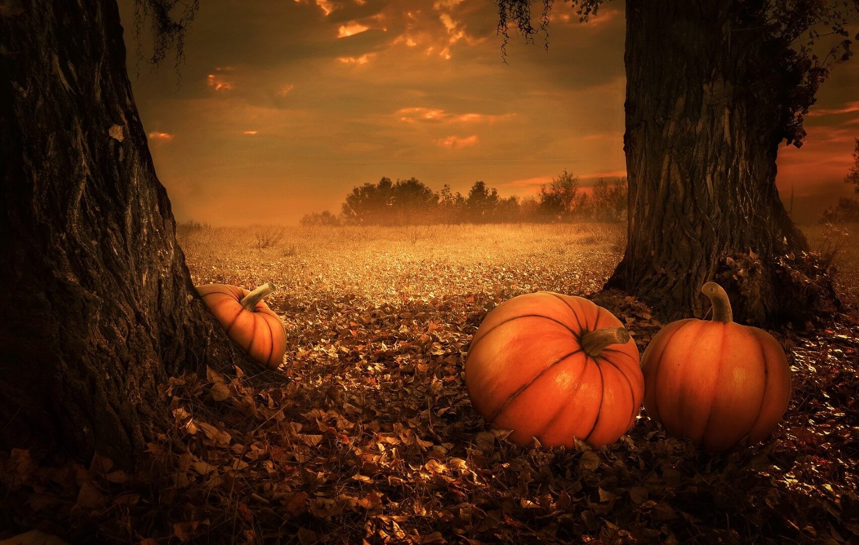 Autumn Halloween Scene