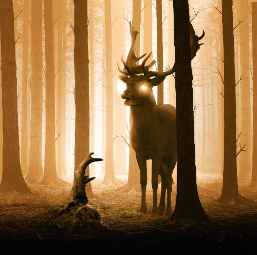 Stag in Forrest